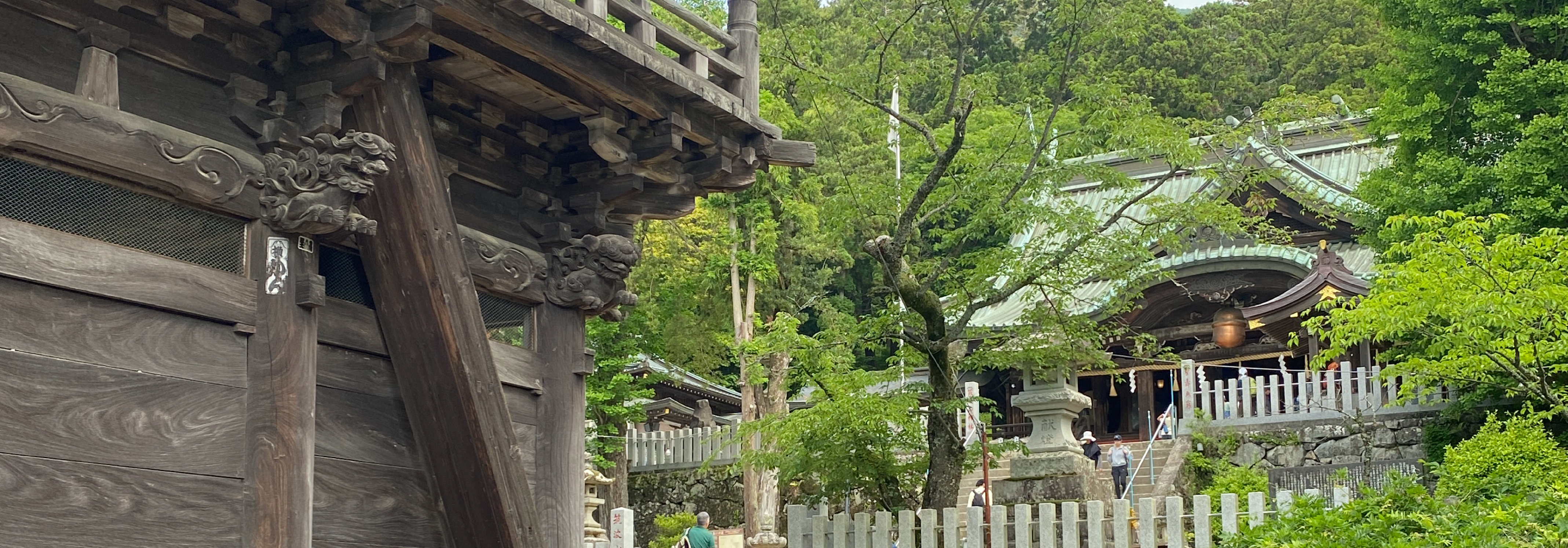 筑波山水源の森づくりでクリーンでグリーンな未来を創造する