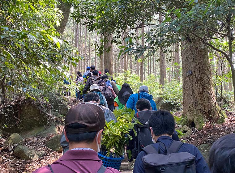 筑波山水源の森づくり width=