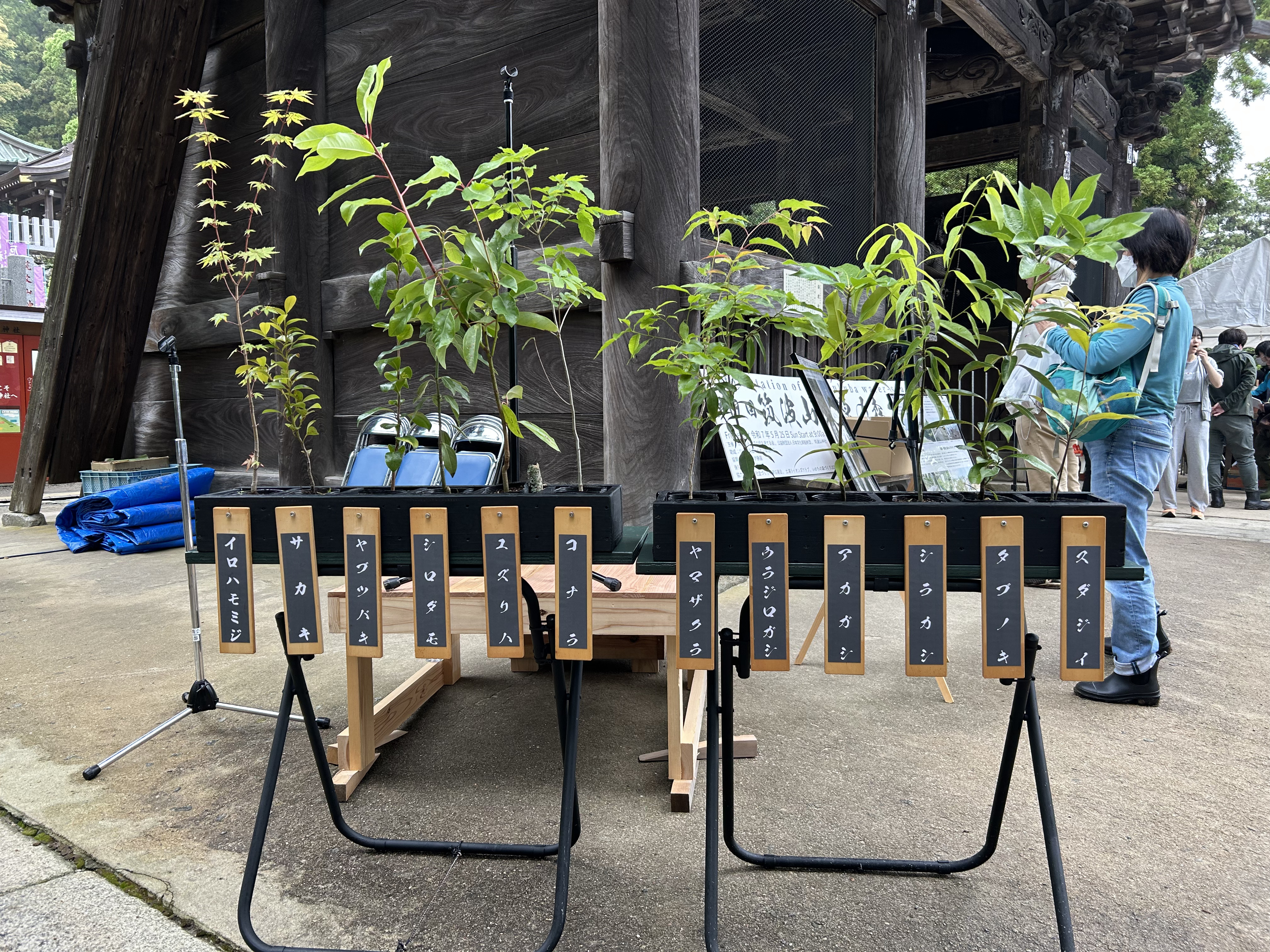 植林活動の様子