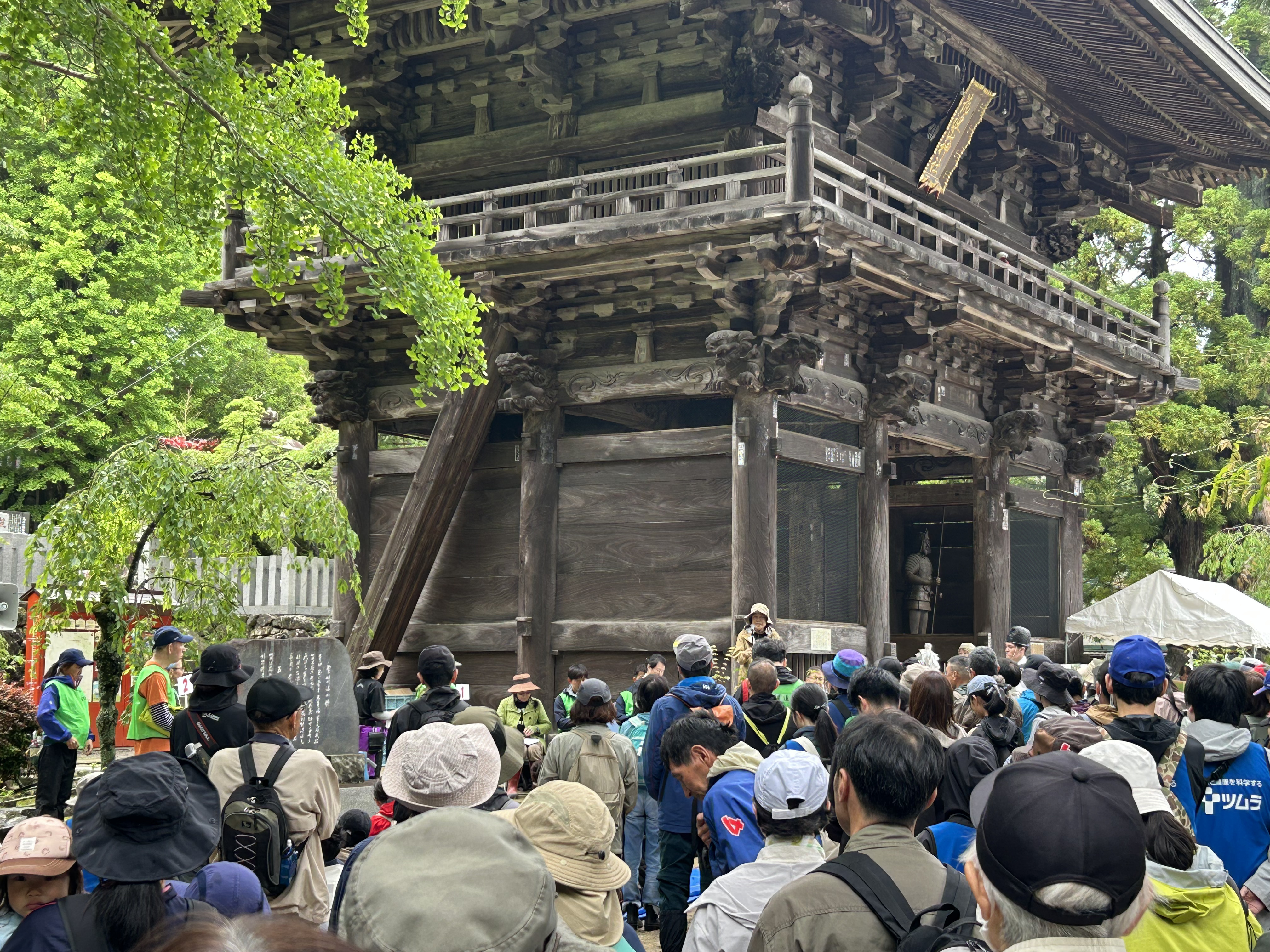 筑波山水源の森づくり