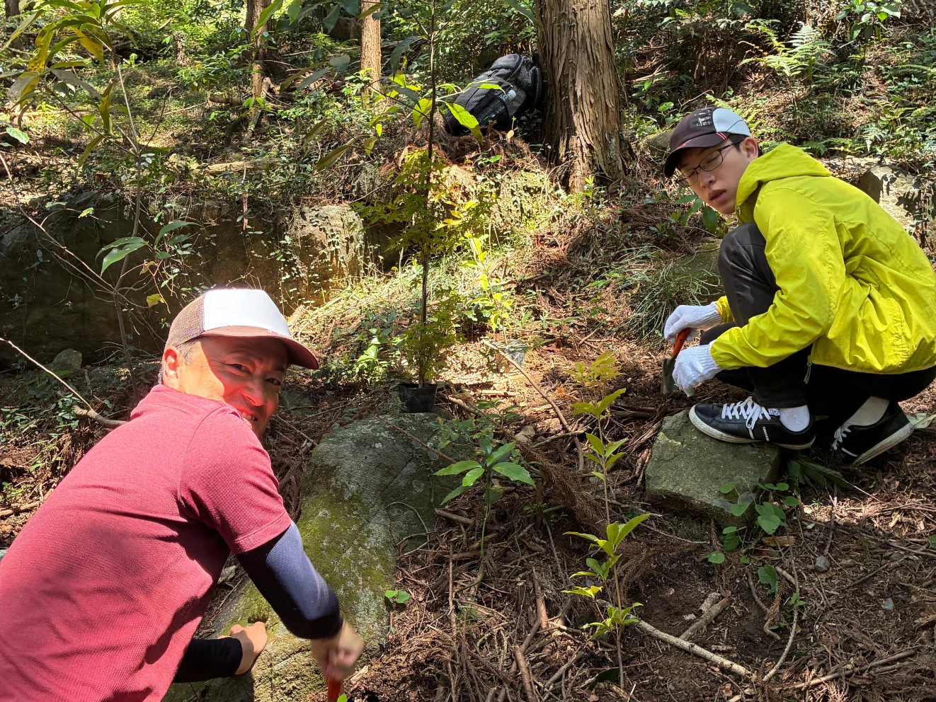 筑波山水源の森づくり