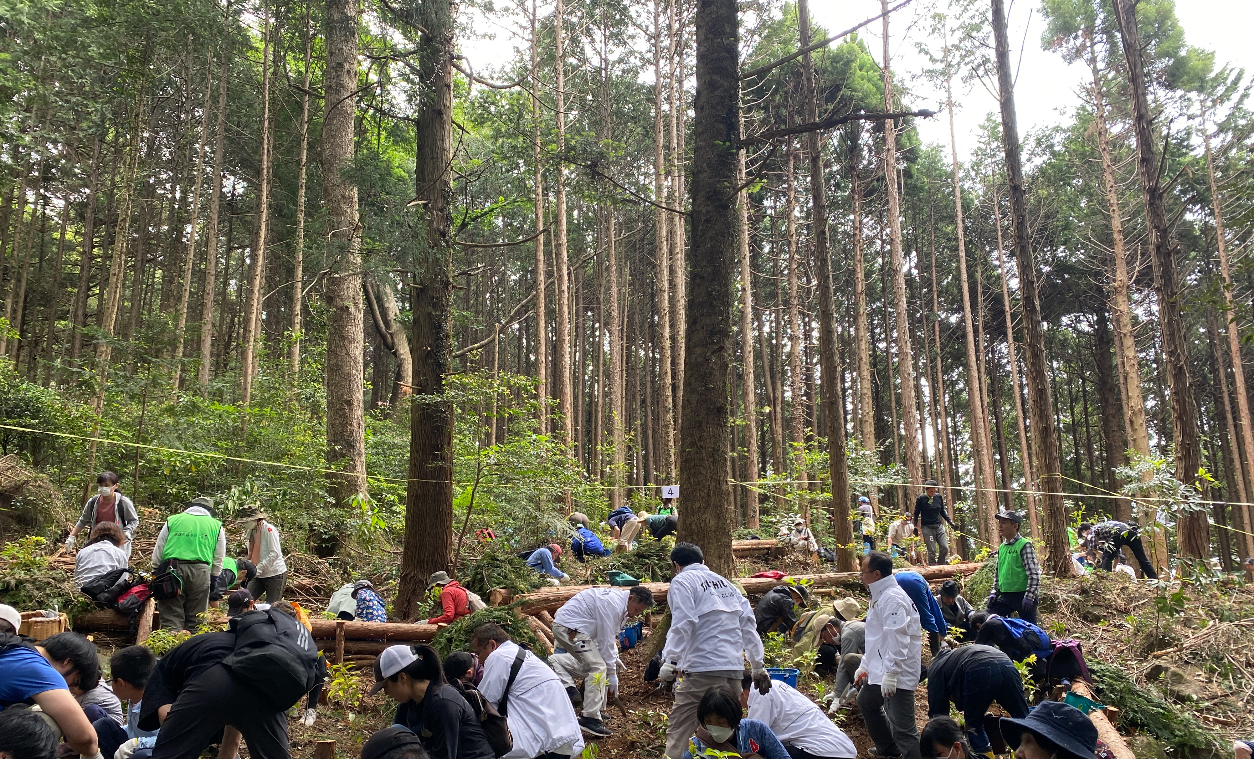 筑波山水源の森づくりでクリーンでグリーンな未来を創造する