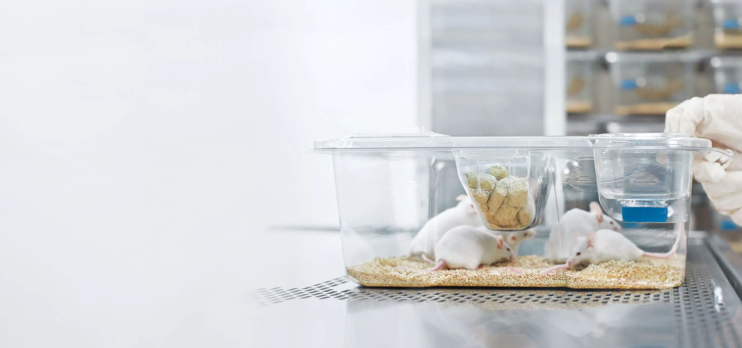 実験動物関連施設 Laboratory Animal Equipment