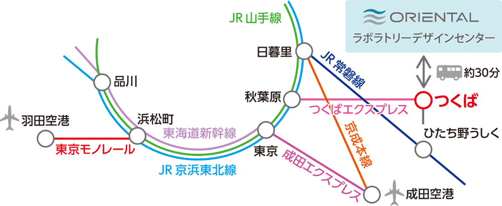 アクセスマップ